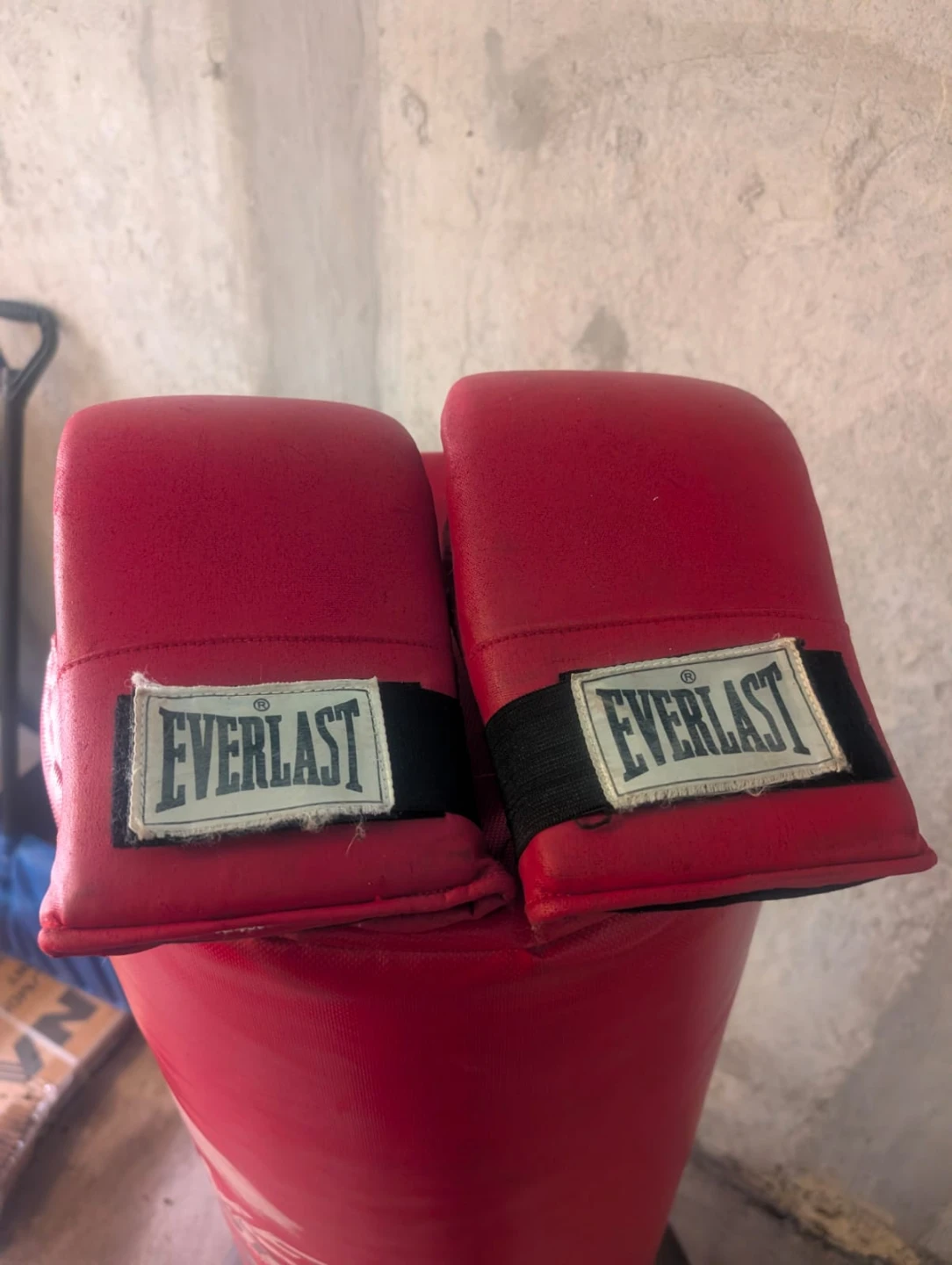 Century Wavemaster punching bag with Everlast training gloves - photo 2