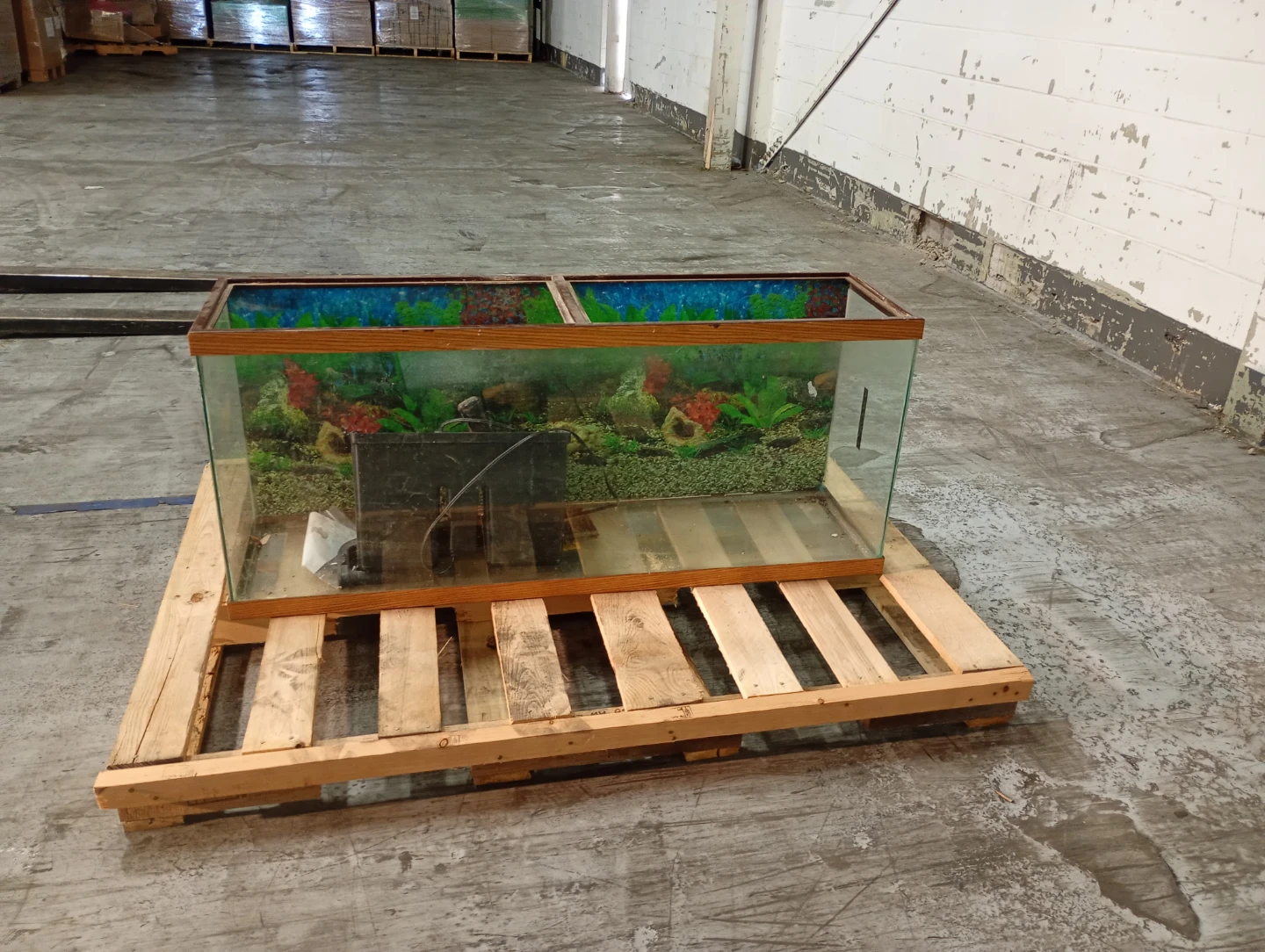 Glass Aquarium Tank with Filter