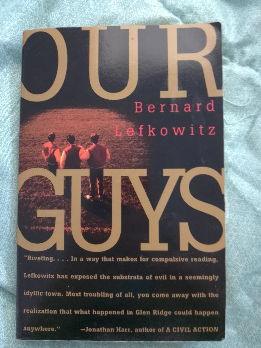 Our Guys by Bernard Lefkowitz 🌱