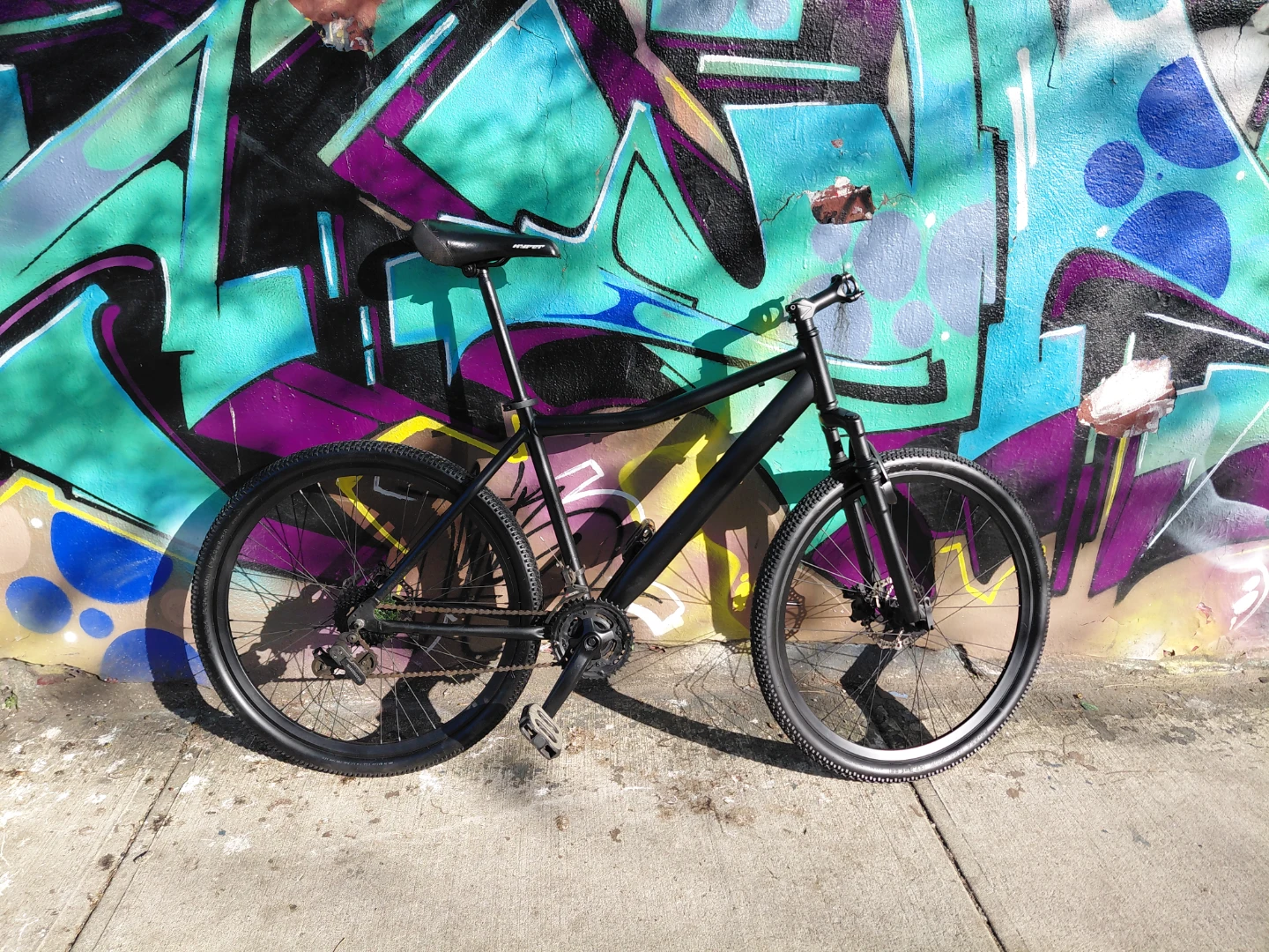 Black Mountain Bike Frame with Pedals - photo 2