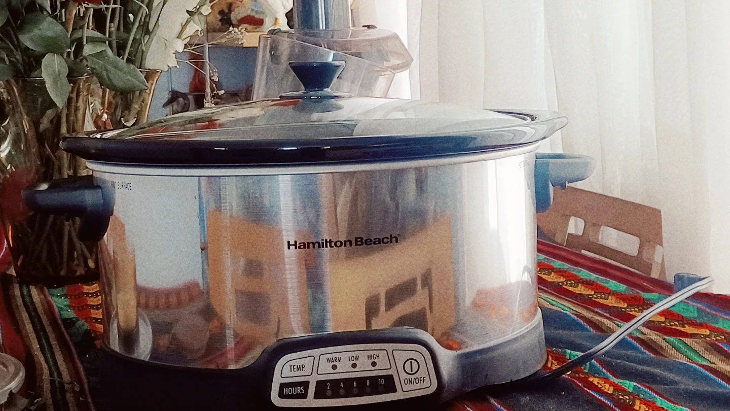Hamilton Beach Slow Cooker