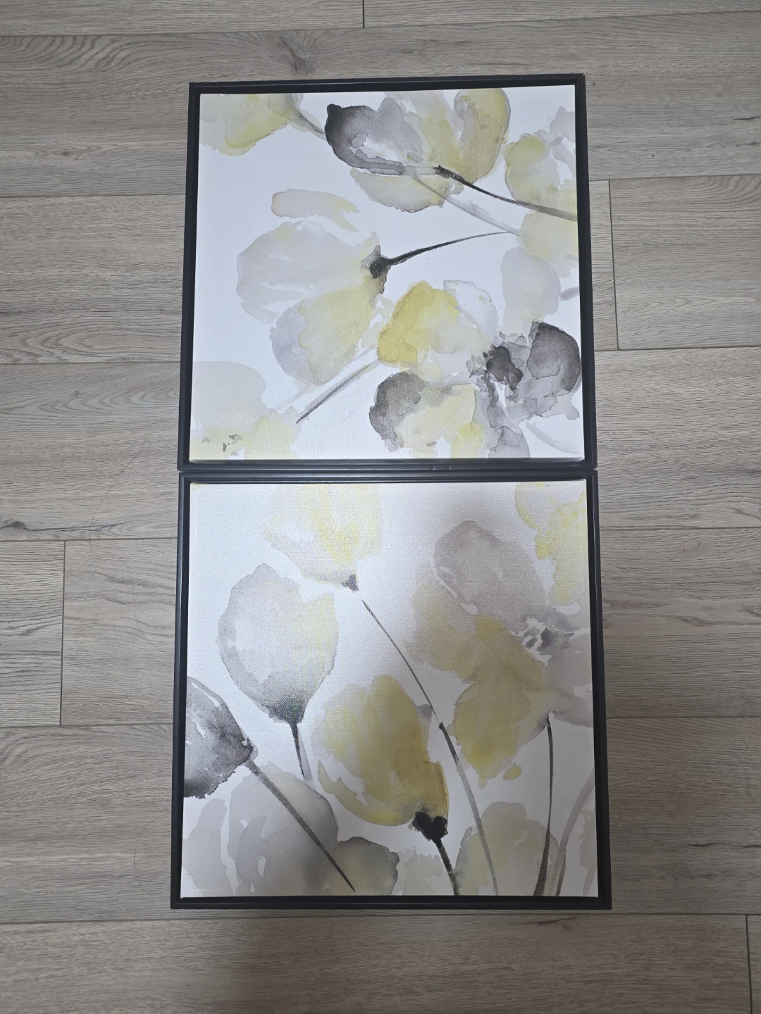 Set of 2 floral canvas art prints
