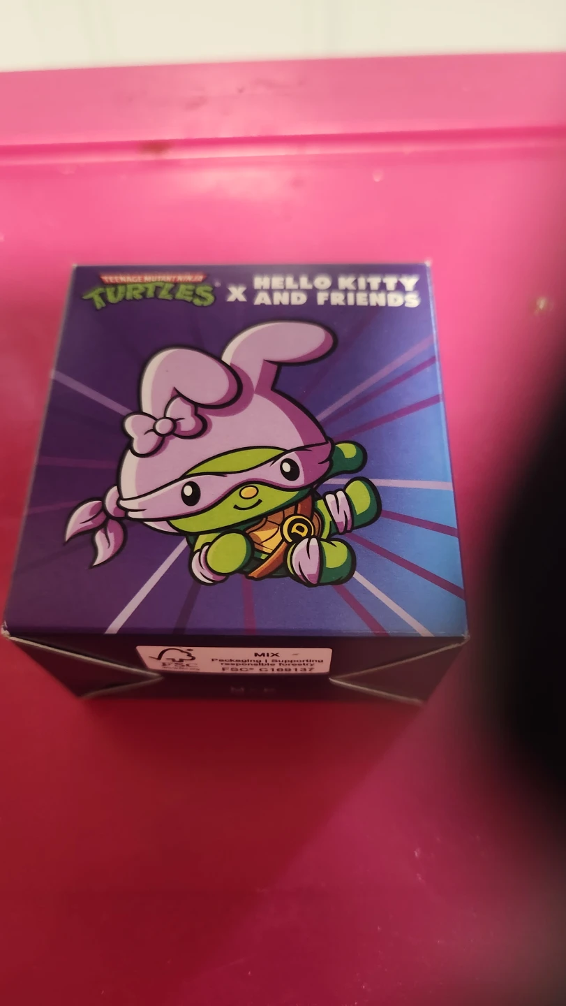Ninja Turtles x Hello Kitty and Friends