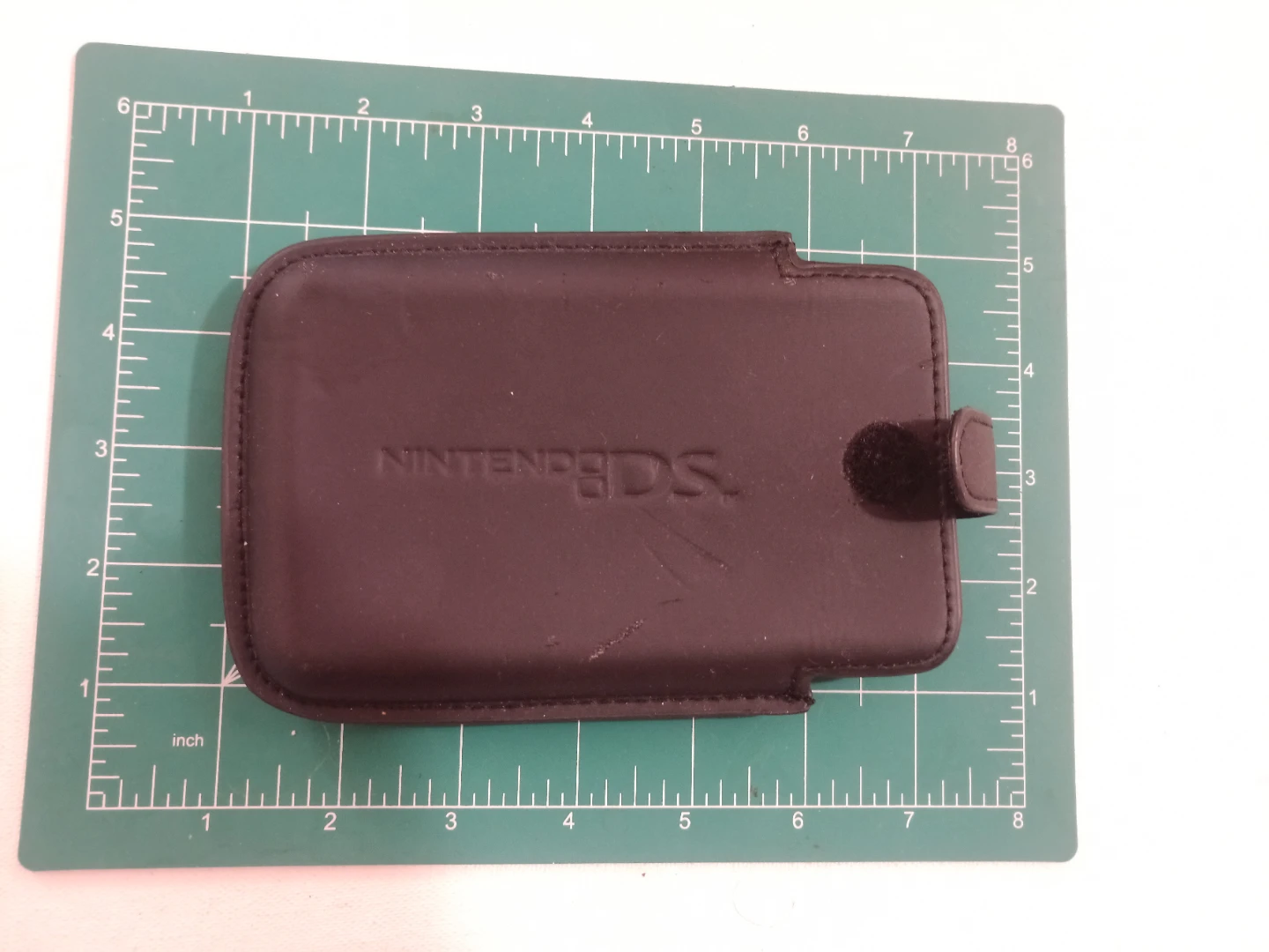 Nintendo DS Pouch Case