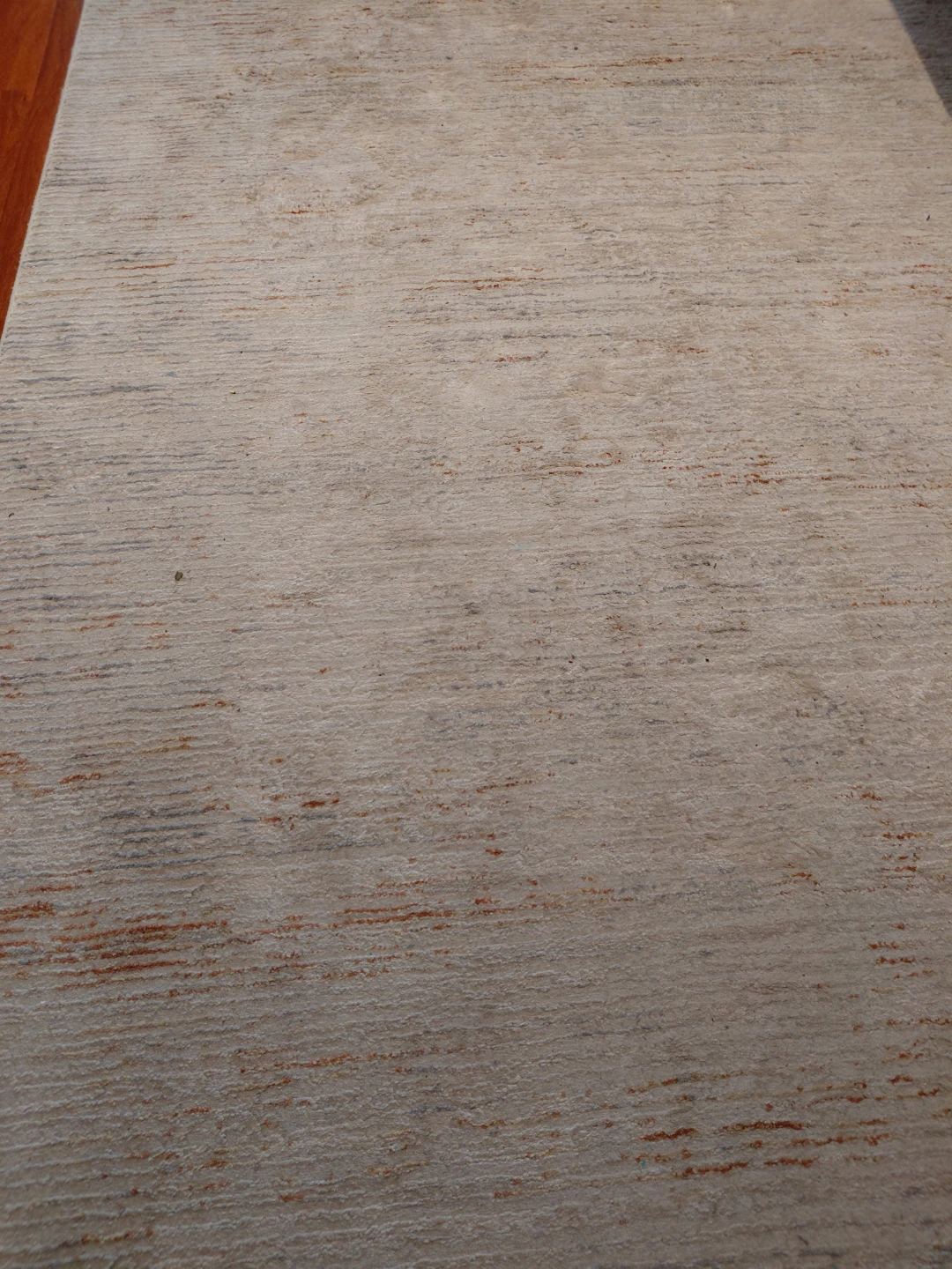 Beig and light grey Textured Area Rug - photo 2