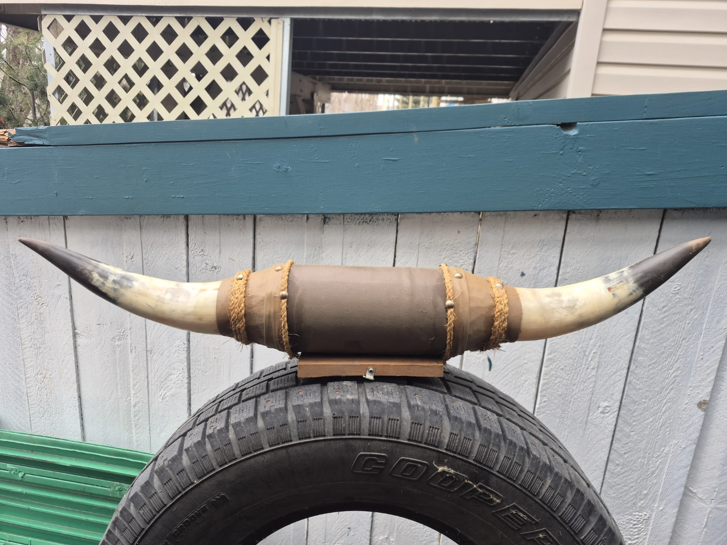 Decorative Bull Horn Mount
