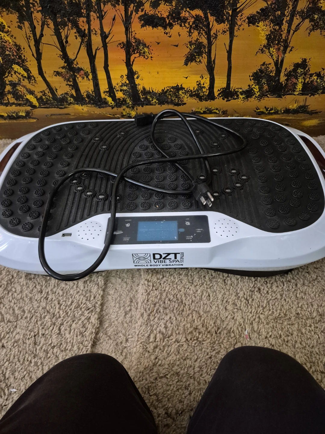 DZT Fitness Vibe Spa Whole Body Vibration Machine