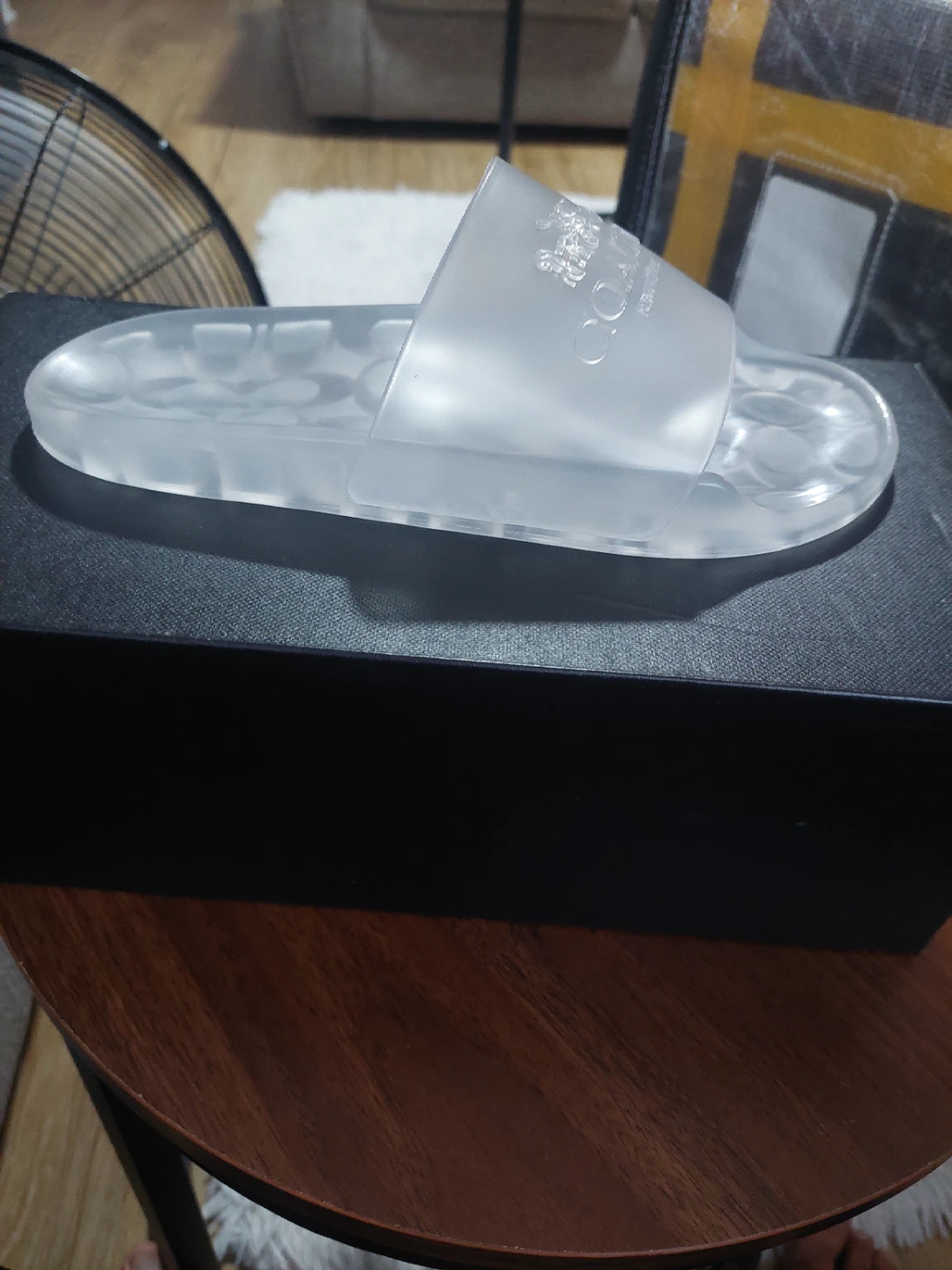 Coach Clear Slides