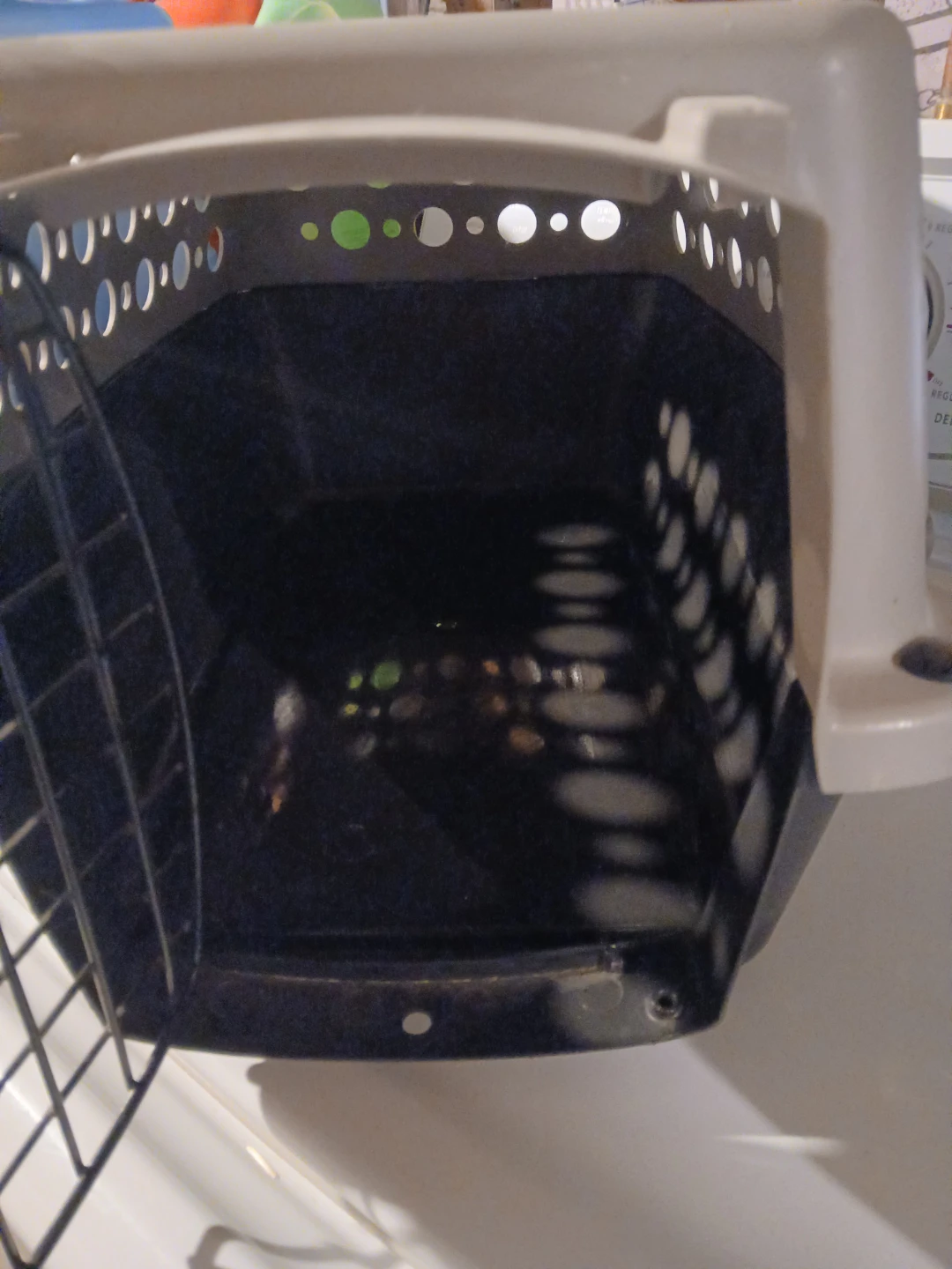Pet Carrier - photo 5