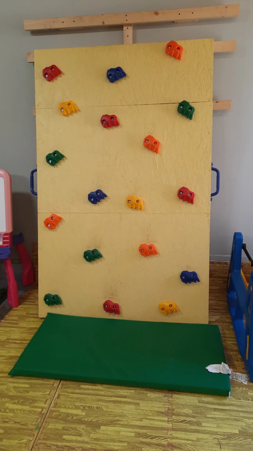 Indoor Climbing Wall Panel with Holds