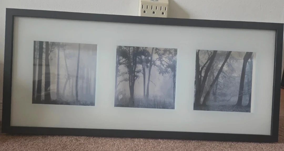 Framed Tri-Panel Forest Wall Art - photo 2