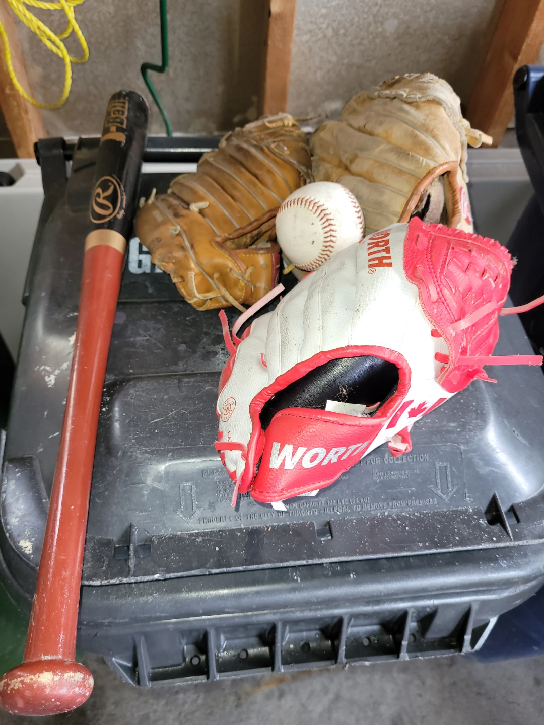 Baseball Gloves