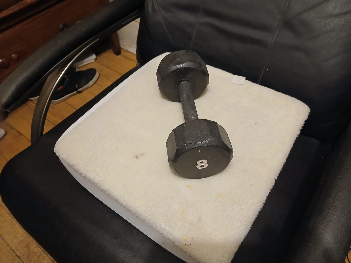 8 lb Dumbbell