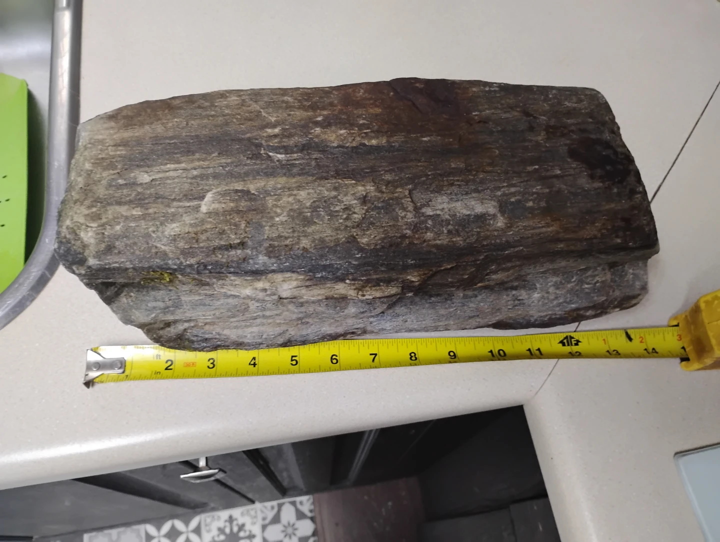 Large Petrified Wood Specimen - photo 3