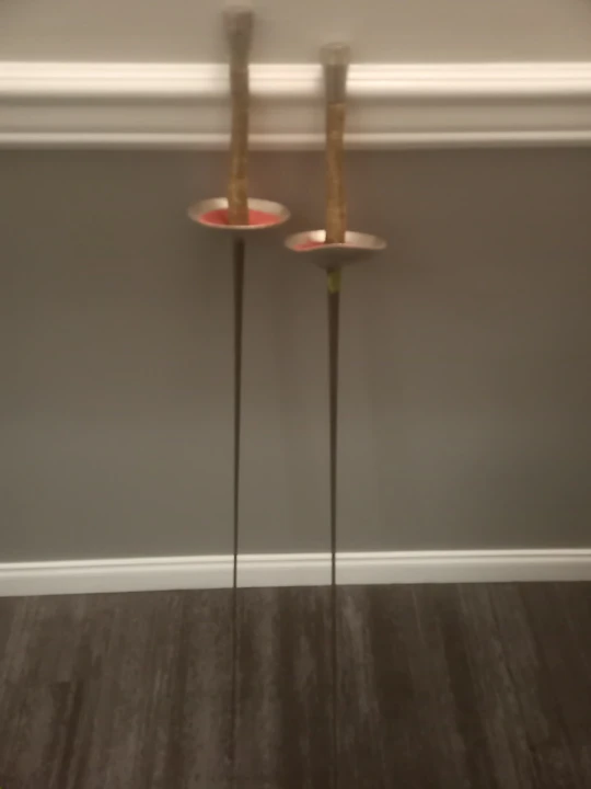 Fencing Epee Swords (Pair)