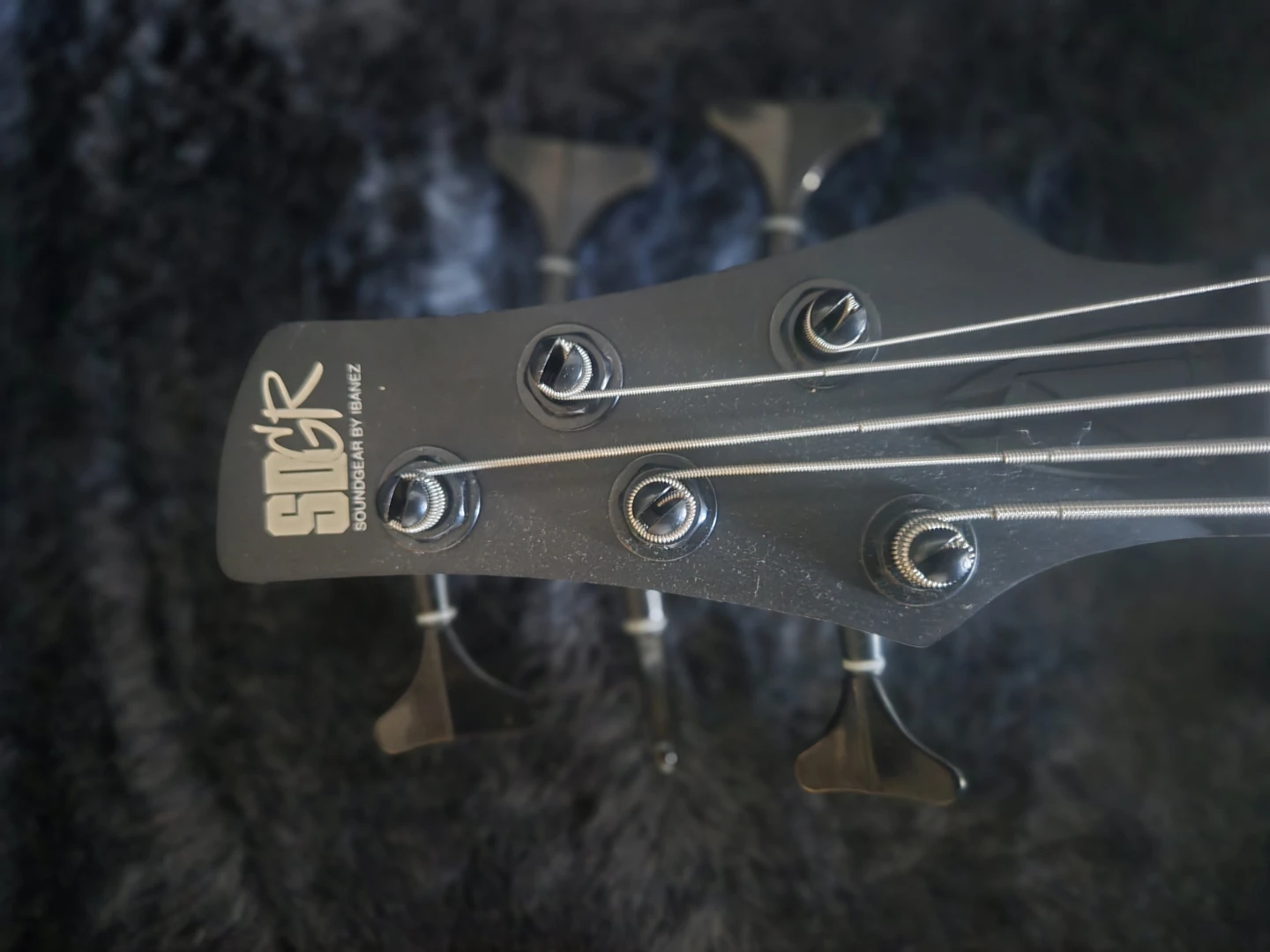 Sound and Gear SR Series 5-String Bass Guitar - photo 3