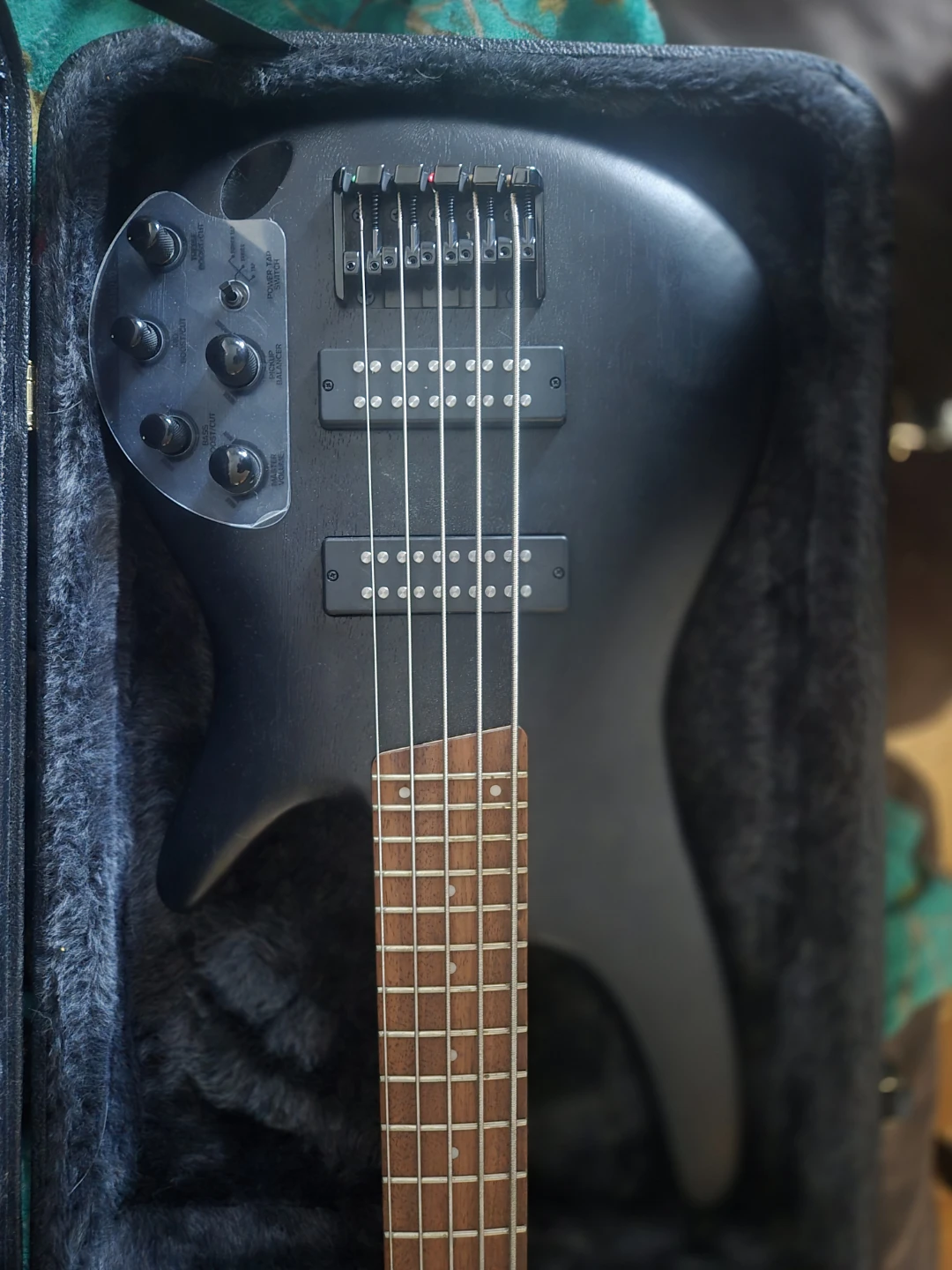Sound and Gear SR Series 5-String Bass Guitar - photo 4