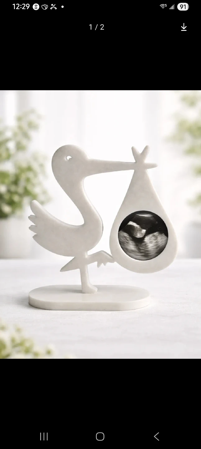 Stork Ultrasound Photo Frame