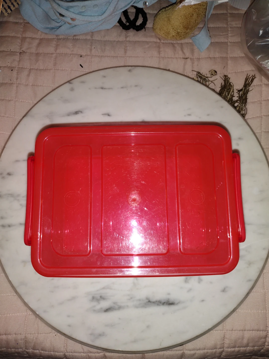 Red Plastic Food Storage Container with Lid 1.6 Qt - photo 2