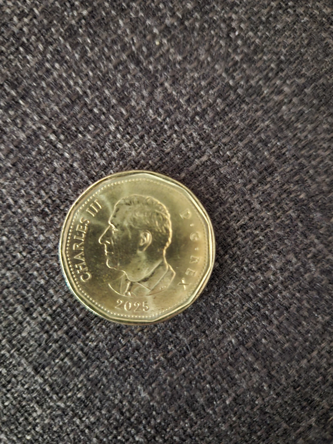 🌱 Canada Dollar Coin 1875-2025 Loonie 150th - photo 2