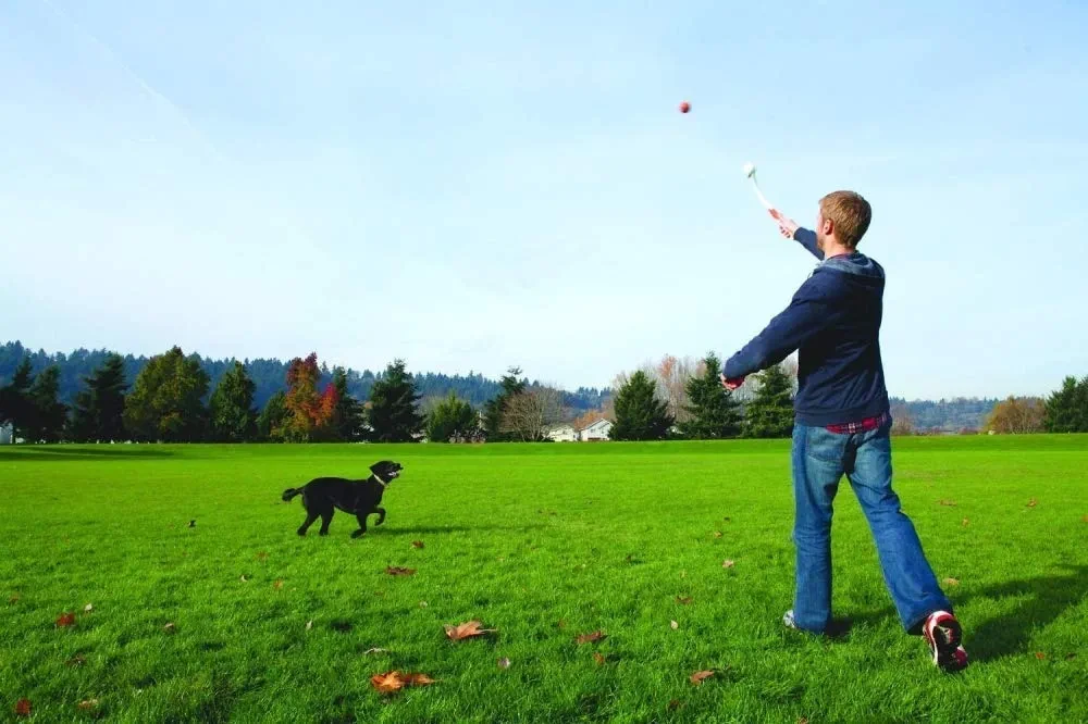 Chuckit! Sport 14S Small Ball Launcher (S) - photo 4