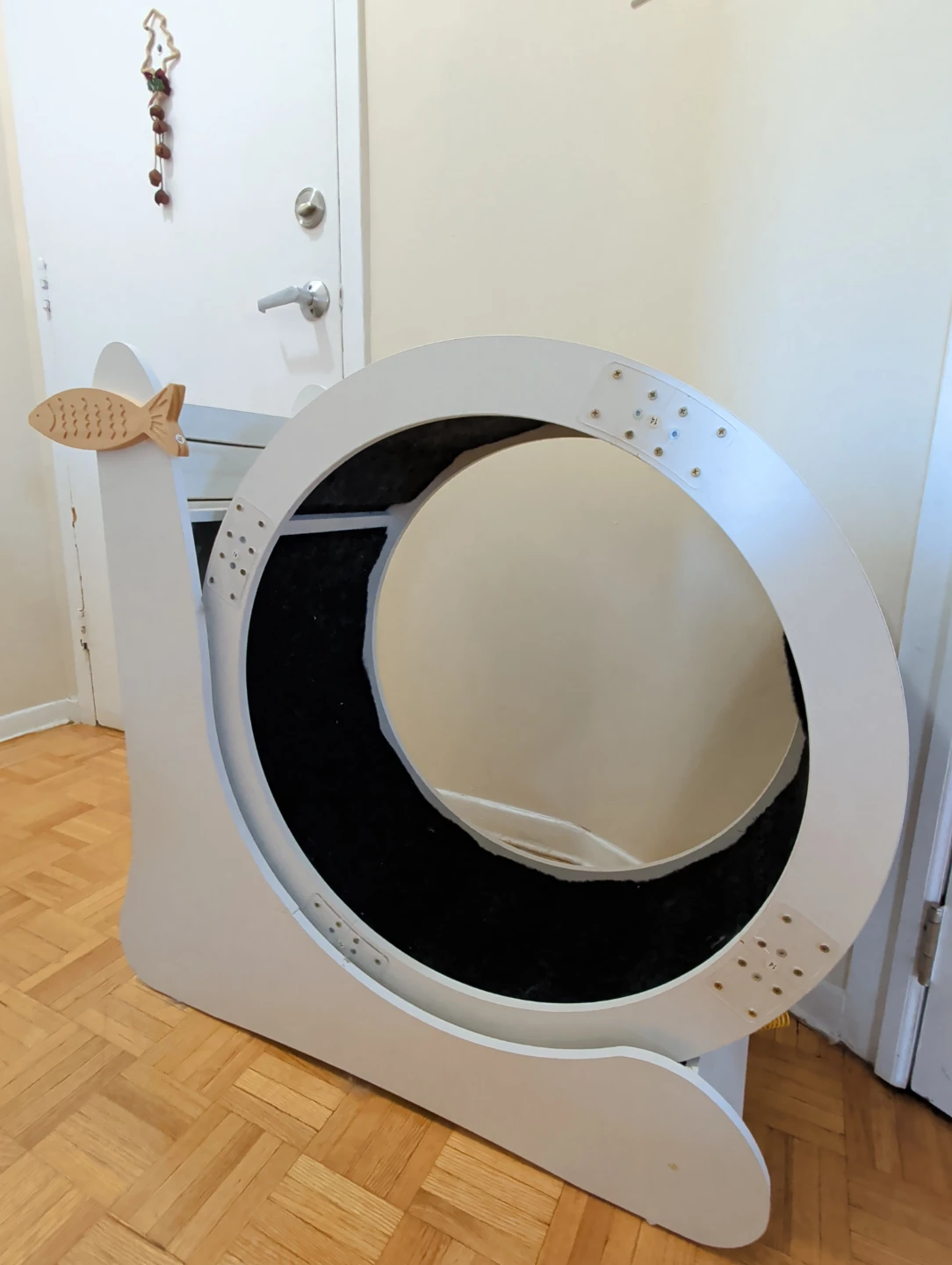 Cat Wheel and Scratcher