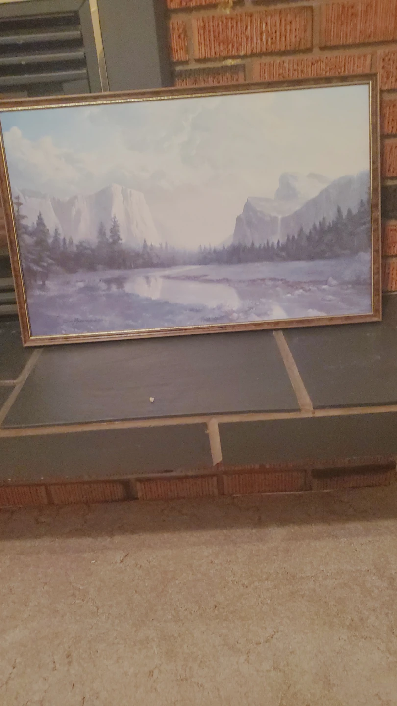 Framed Landscape Art Print 🌱