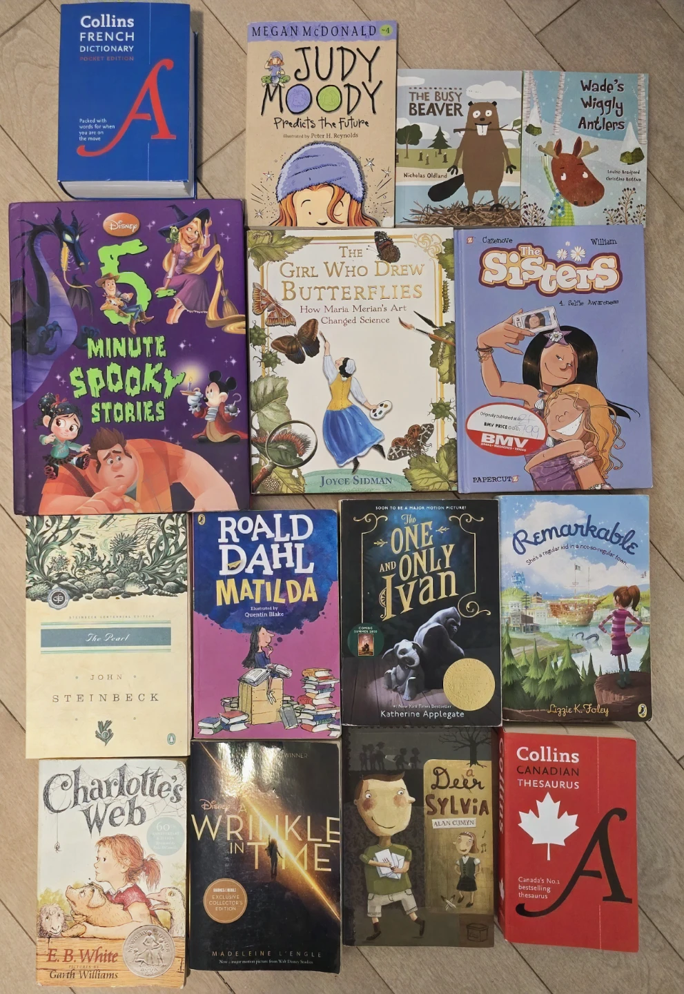 Kids/Middle School Books - Dork Diaries, Wimpy Kid, Classics - photo 4