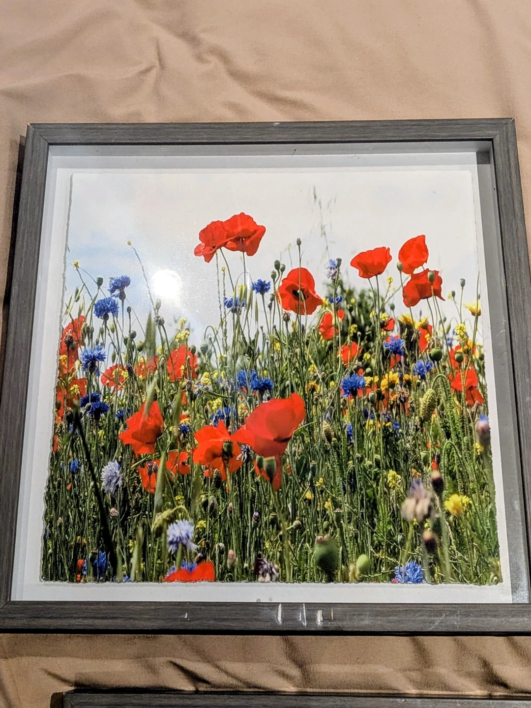 Framed landscape photos 5pc set - photo 3
