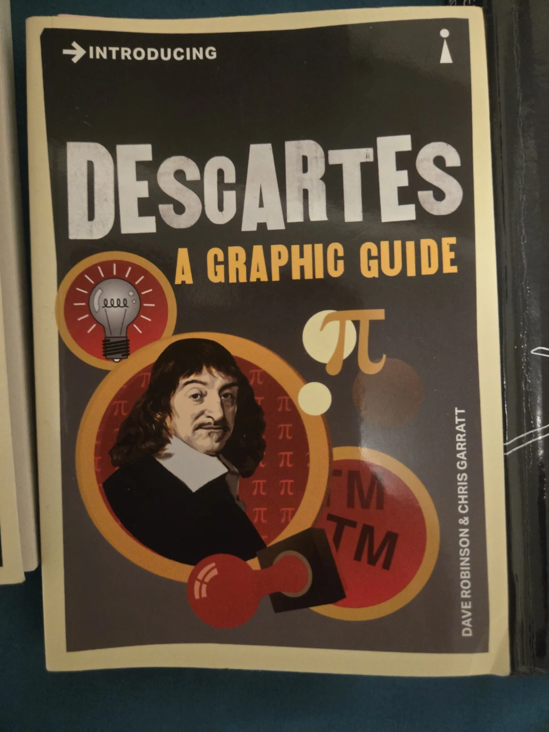Introducing Descartes: A Graphic Guide Book