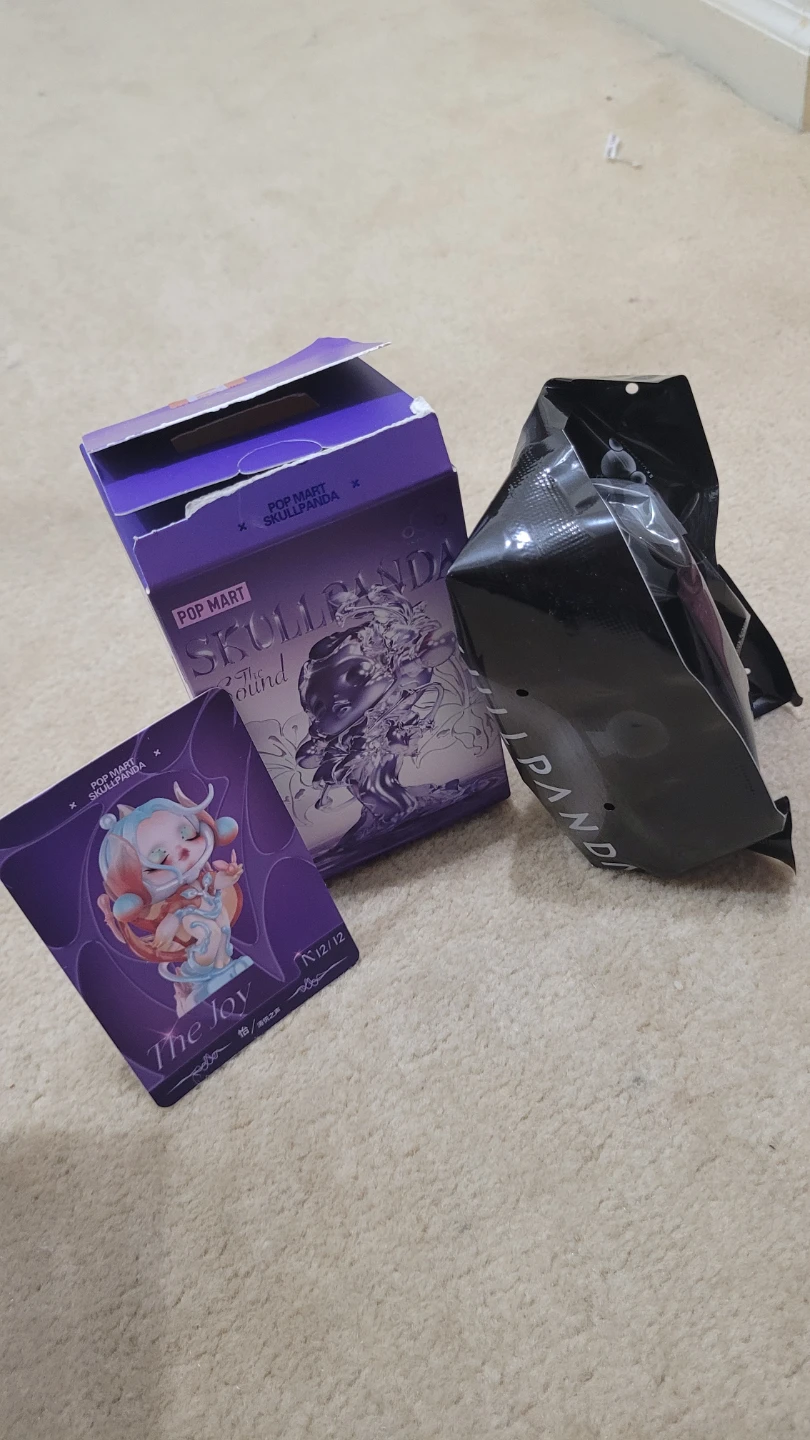 POP MART Skullpanda The Sound Blind Box Figure "The Joy"