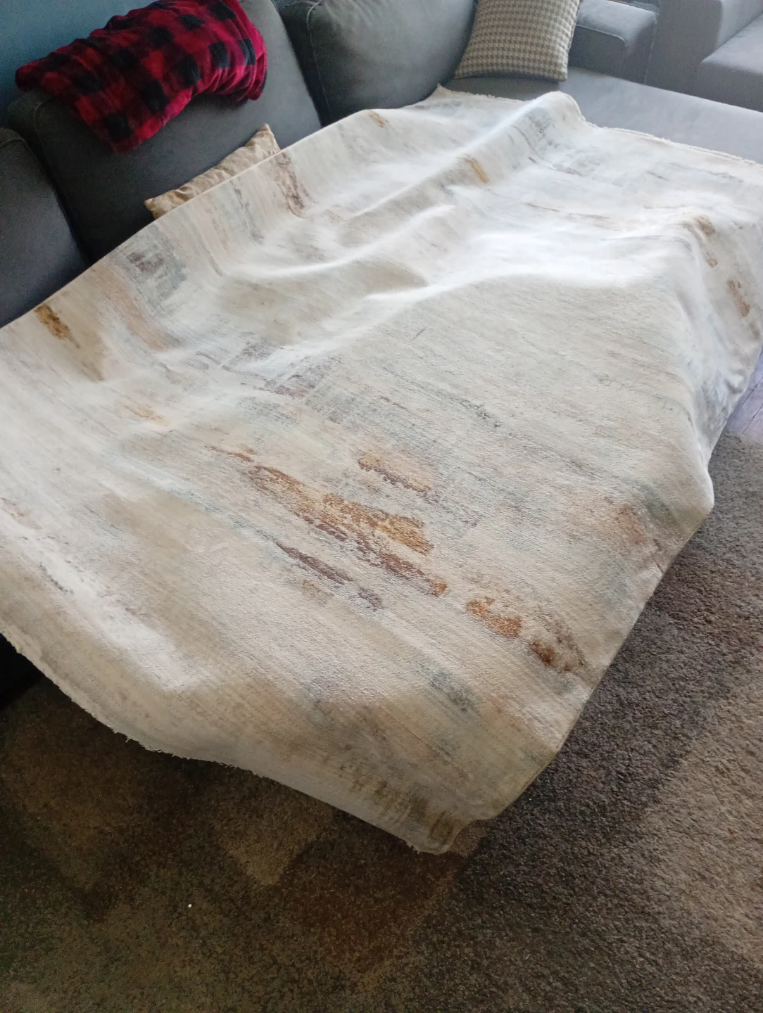 PATINA Viana Area Rug 5'3" x 7'6" (Very Clean No Stains)