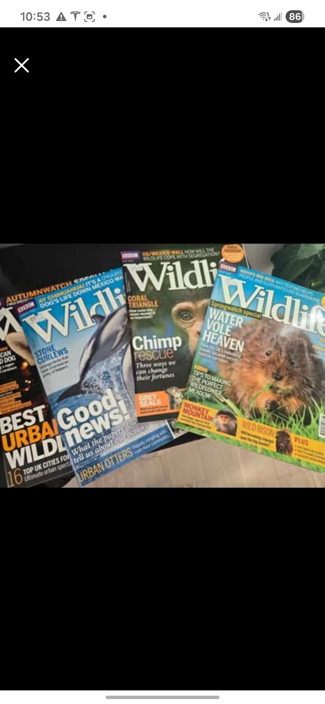 Wildlife Magazine Bundle