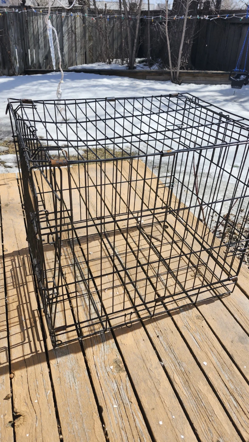 Petmate Dog Crate