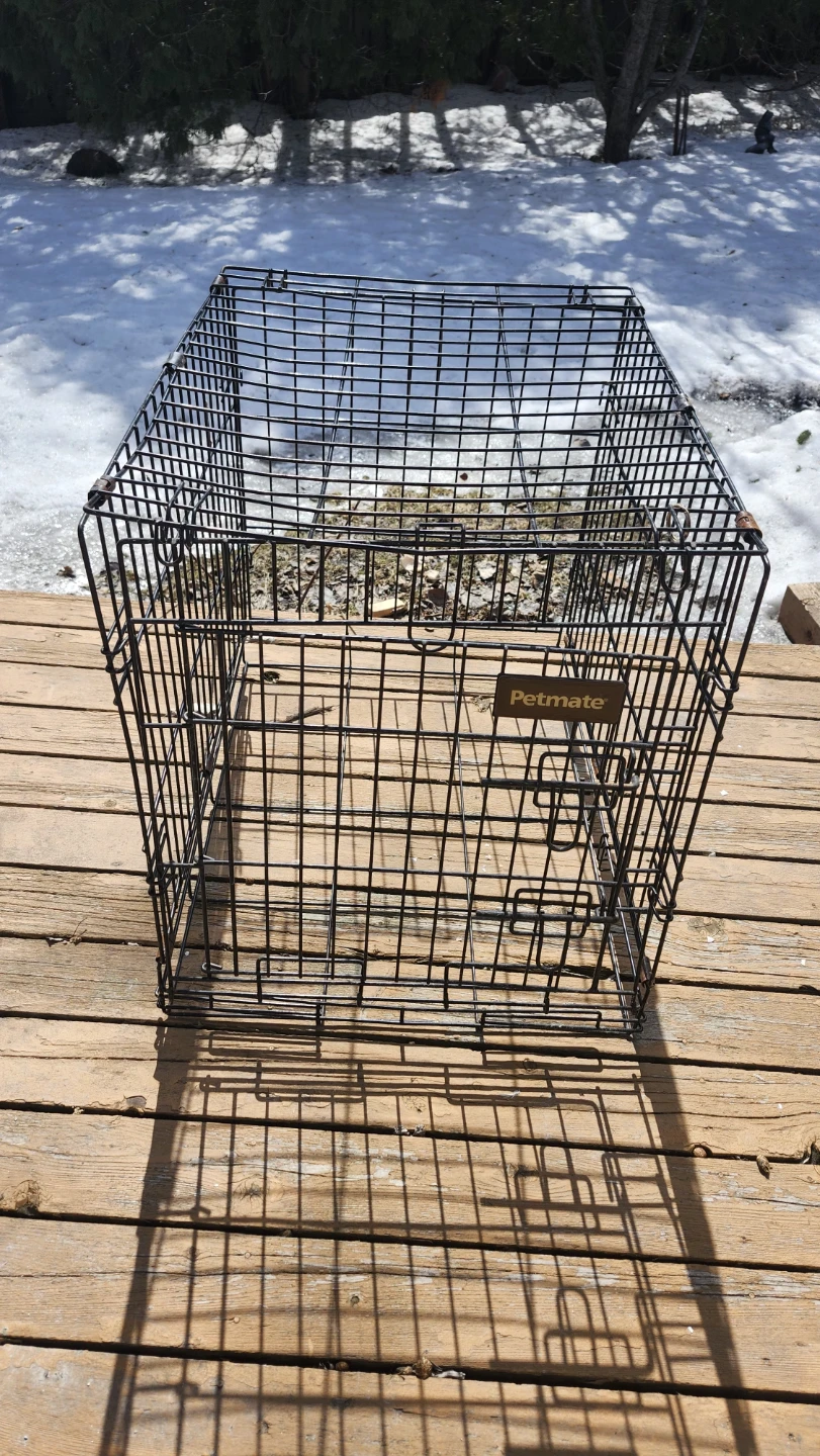 Petmate Dog Crate - photo 2
