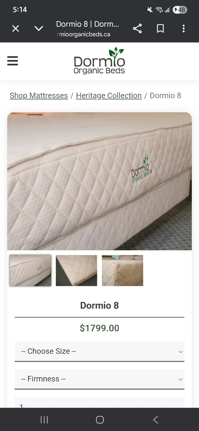 Dormio Queen Mattress