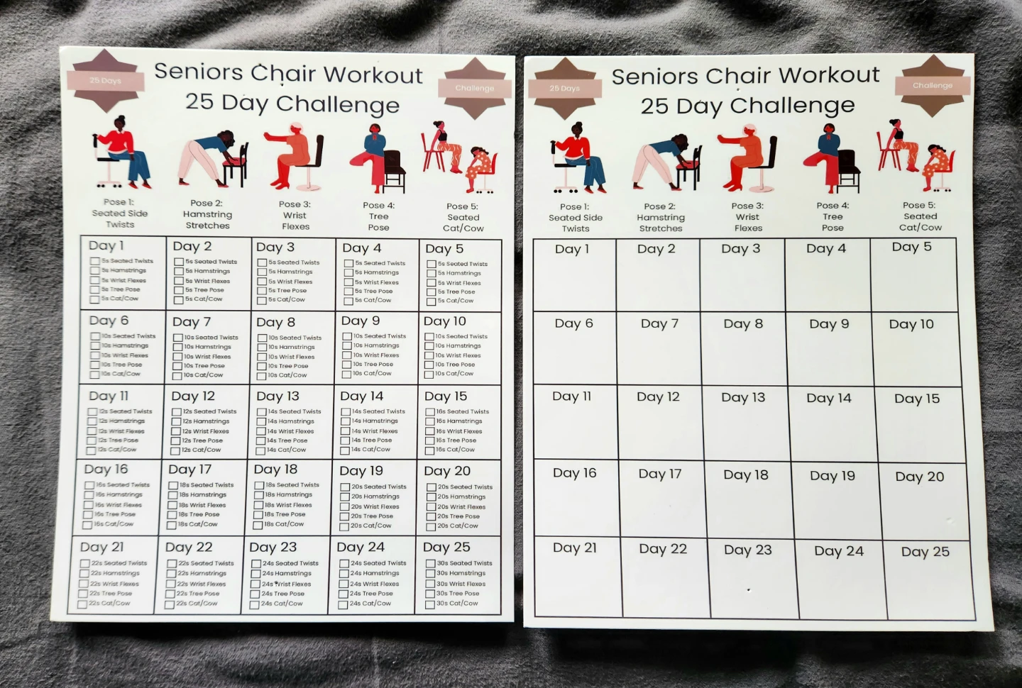 🌱Chair Workout, 25 Day Challenge Charts - photo 3