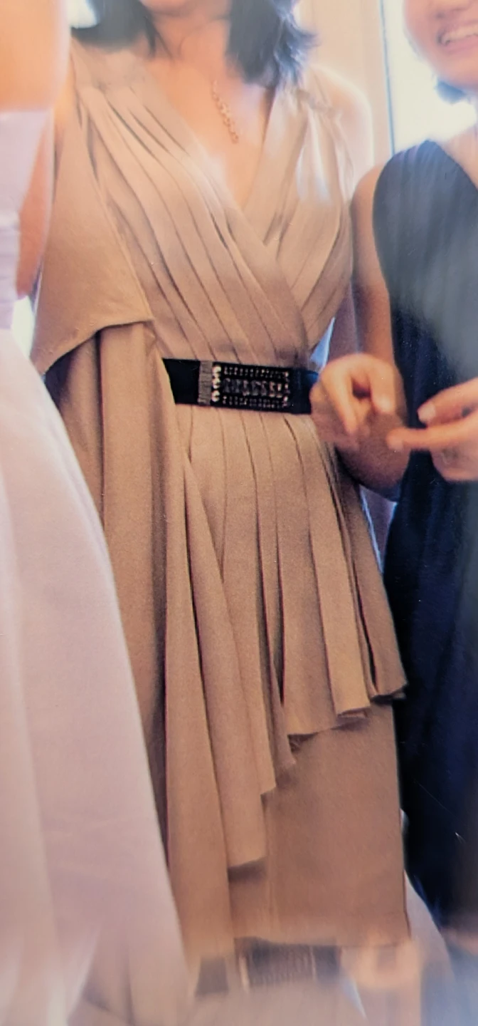 BCBGMAXAZRIA Women's Taupe Pleated Dress with Black Belt Size S