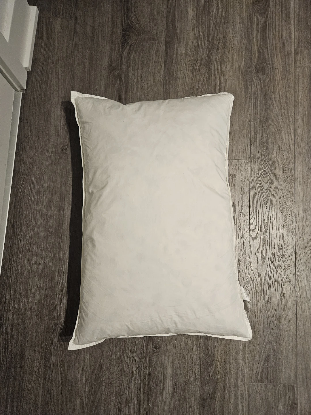 🌱Muji Waterfowl Feather Pillow