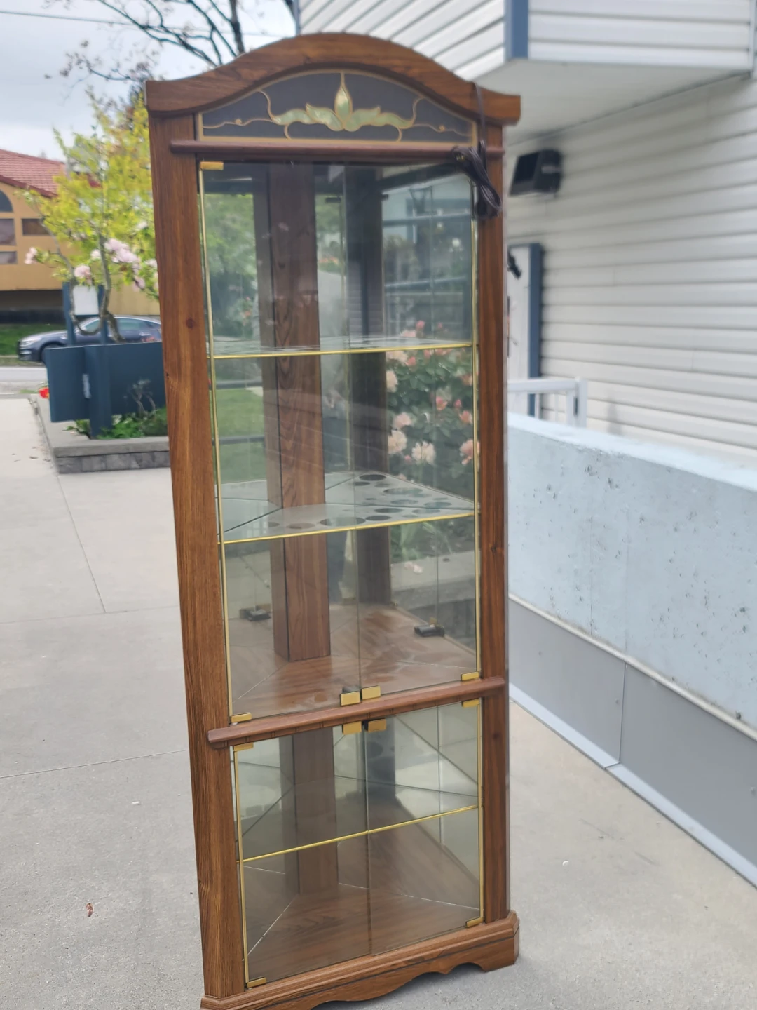 Corner Curio Cabinet Display Shelf
