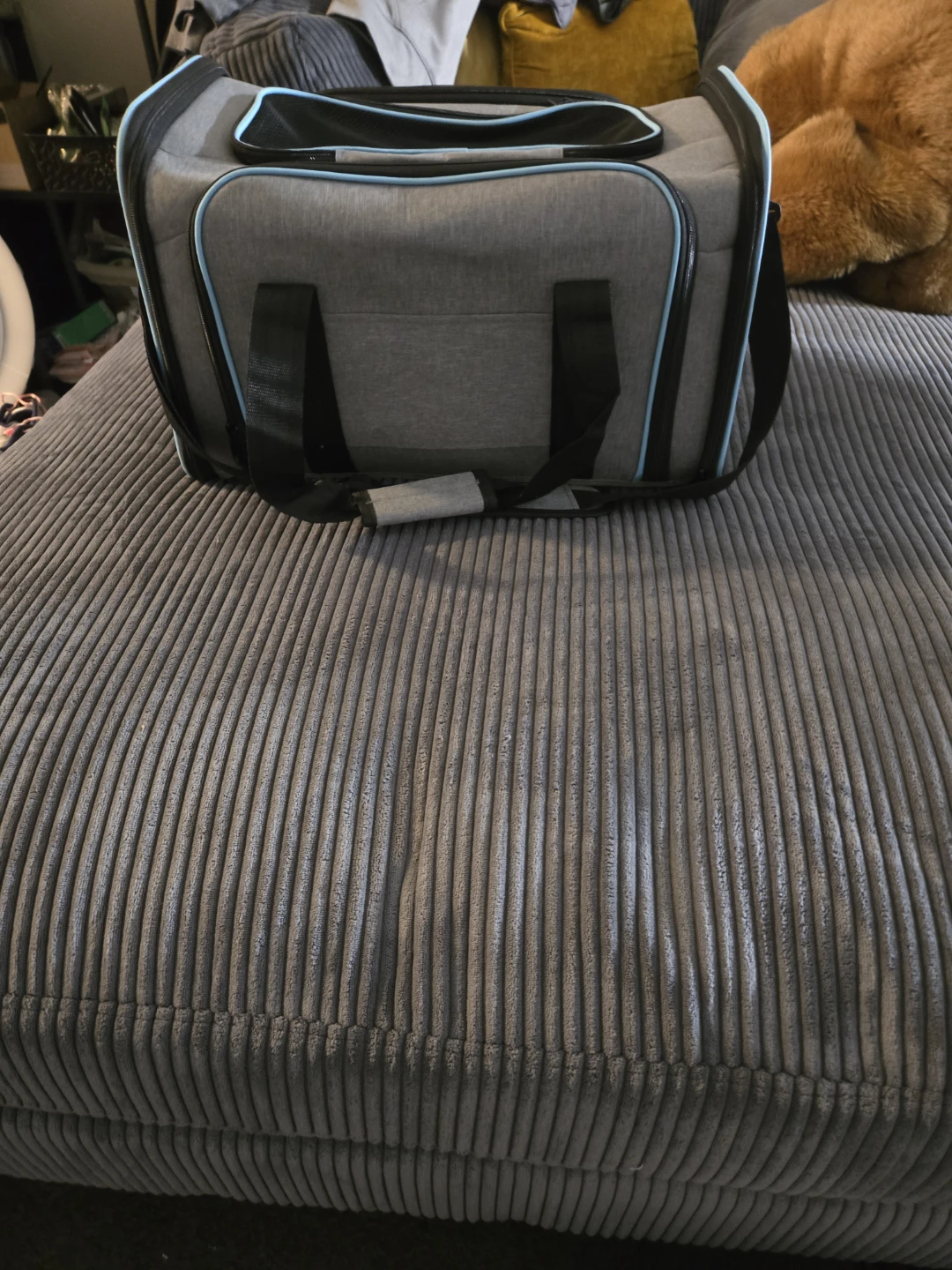 Gray Pet Carrier Bag with Blue Trim