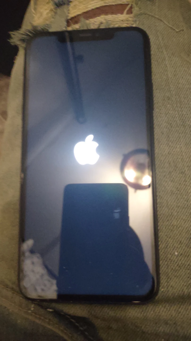 Apple iPhone 11 Pro Max (Damaged) - photo 3