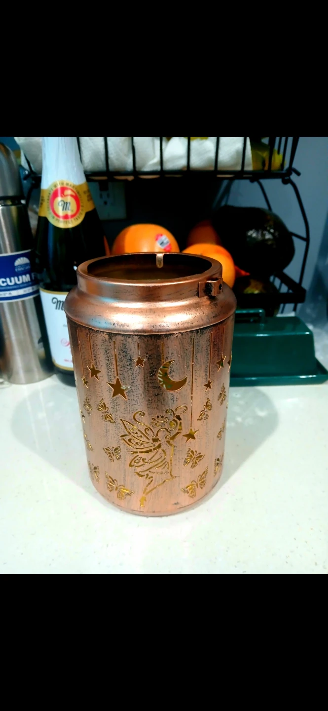 Copper Fairy & Moon Lantern 🌱