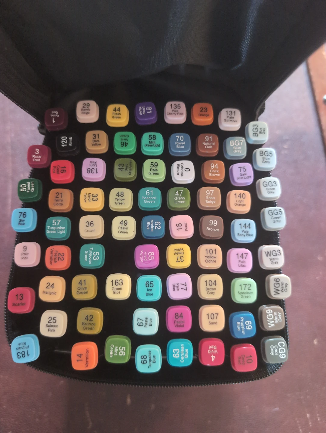 Set of 60+ Alcohol Markers in Case