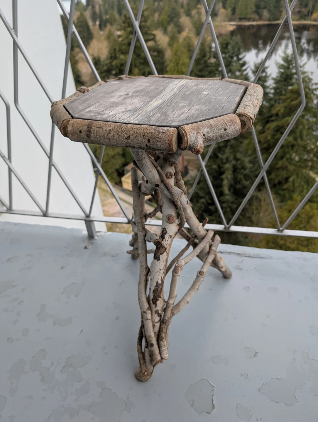 Rustic Wood Side Table with Tree Branch Base