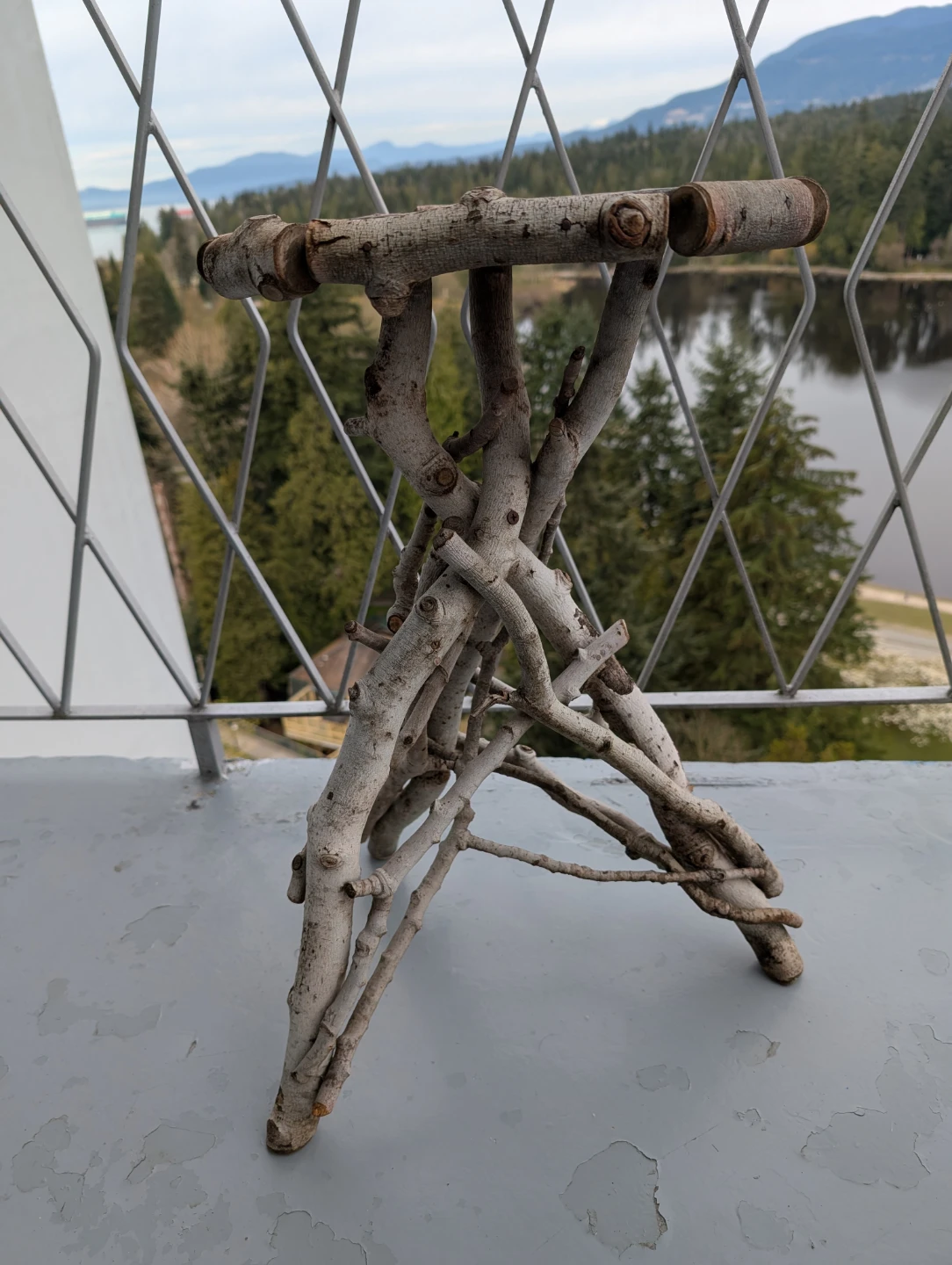 Rustic Wood Side Table with Tree Branch Base - photo 2