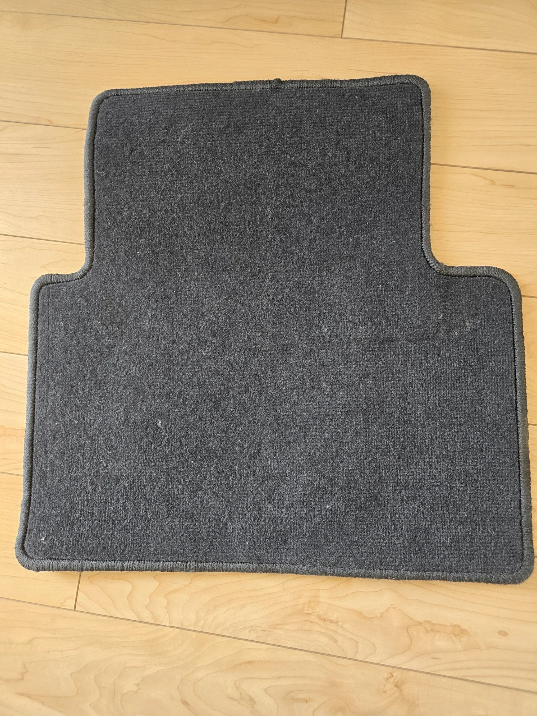 Rear Floor Mats (Set of 2) - photo 4