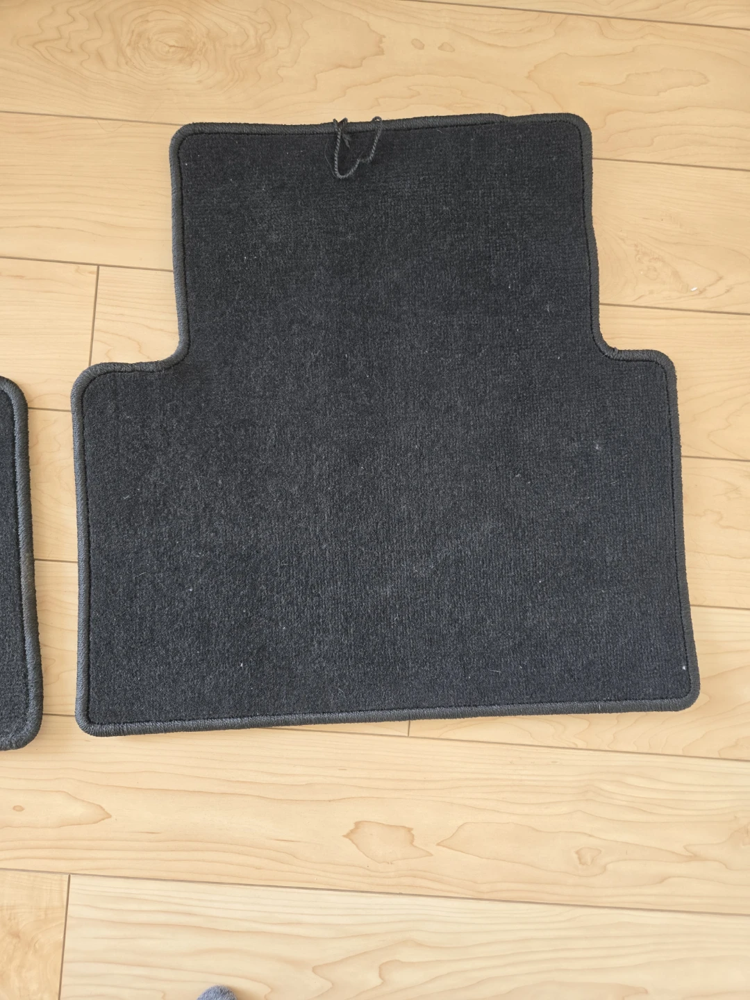 Rear Floor Mats (Set of 2) - photo 5