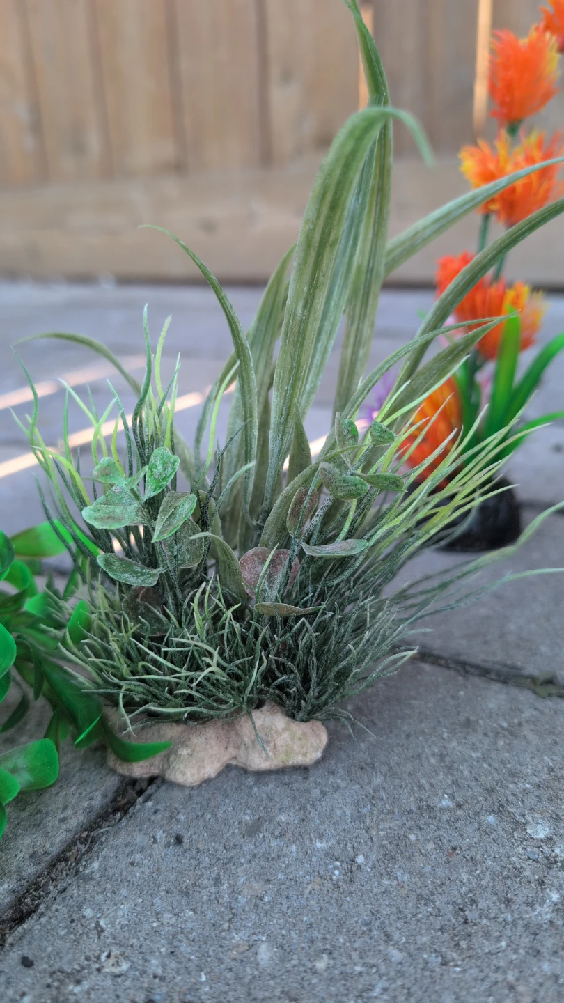 Assorted Artificial Aquarium Plants - photo 3