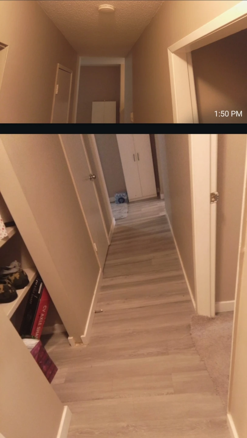 Bright & clean Room for rent- Near Belvedere Transit Centre - photo 3